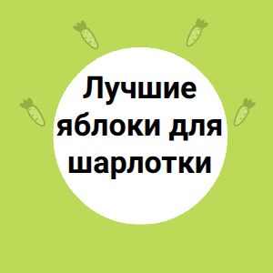 Лучшие яблоки для шарлотки